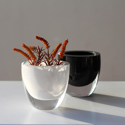 21年12月新款加厚小花瓶玻璃 商品图0