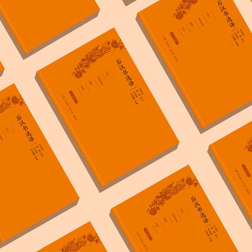 《古代文史名著选译丛书：后汉书选译》（珍藏版） 商品图2