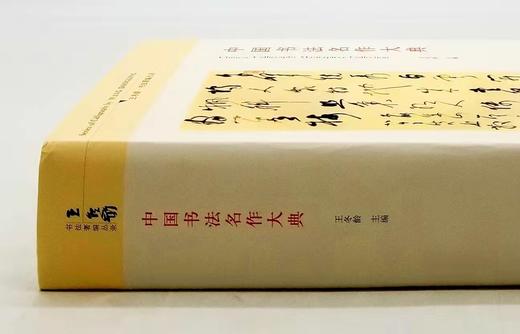 《中国书法名作大典》，16开，平装，1642页，王冬龄著，中国人民大学出版社2015年版，定价198，售价78元。品相95成 商品图1