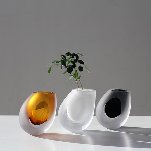 2021.12月新款 斜口加厚磨砂玻璃小花瓶 商品图8