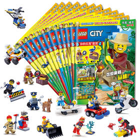 乐高城市画册12本套装