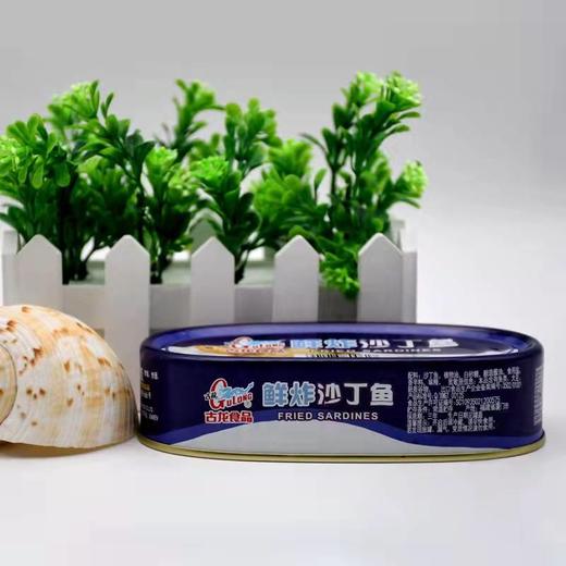 古龙鱼罐头120g 商品图1
