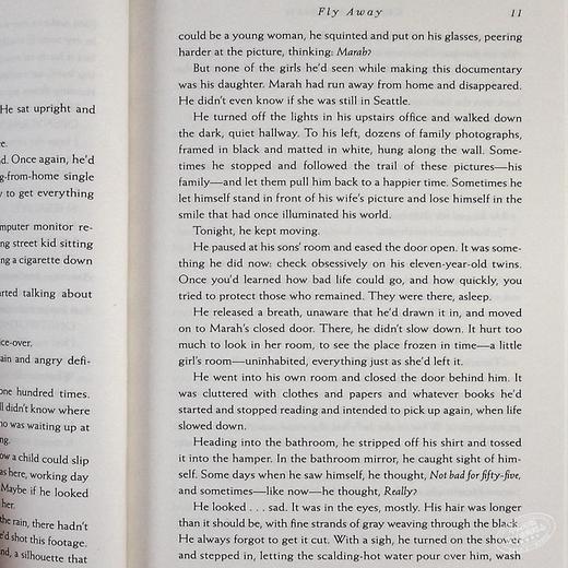 萤火虫小巷两册套装 英文原版 再见萤火虫小巷 英文小说 女性治愈畅销文学Firefly Lane Fly Away克莉丝汀汉娜Kristin Hannah 商品图5
