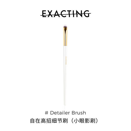 Exacting高招 细节刷 商品图0