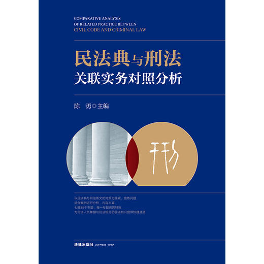 民法典与刑法关联实务对照分析  陈勇主编 商品图6