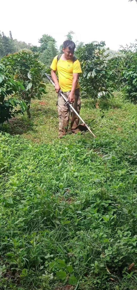 精品生态咖啡豆/粉/{挂耳咖啡} 商品图4