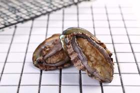 丨生态丨野生海捕海鲜活冻贝壳类 鲍鱼，扇贝，小花螺，海瓜子，扇贝柱（瑶柱）