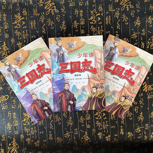 少年读三国志（全3册）7岁+ 讲述孩子看得懂的三国历史故事 商品图3