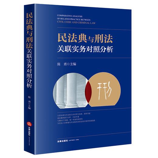 民法典与刑法关联实务对照分析  陈勇主编 商品图5