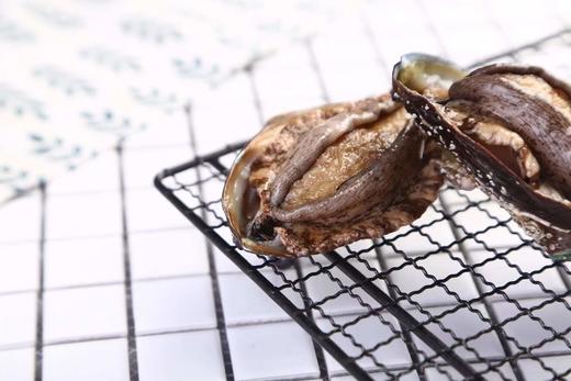 丨生态丨野生海捕海鲜活冻贝壳类 鲍鱼，扇贝，小花螺，海瓜子，扇贝柱（瑶柱） 商品图4