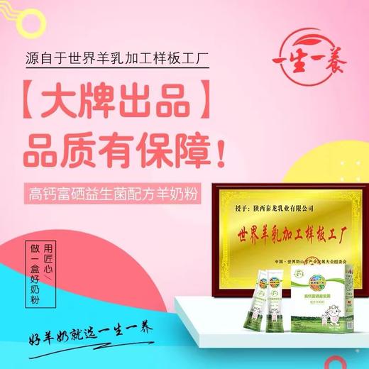 一生一养 高钙富硒益生菌 配方羊奶粉 商品图4