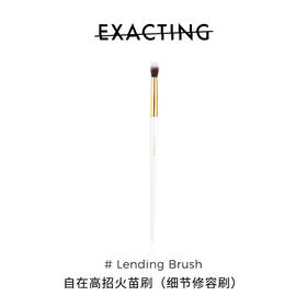 Exacting高招 火苗刷