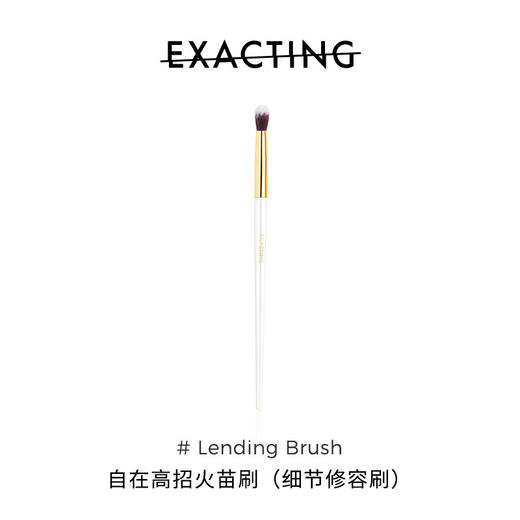 Exacting高招 火苗刷 商品图0