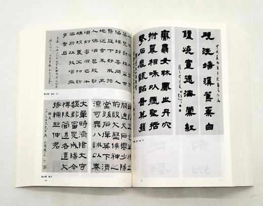 《中国书法名作大典》，16开，平装，1642页，王冬龄著，中国人民大学出版社2015年版，定价198，售价78元。品相95成 商品图10