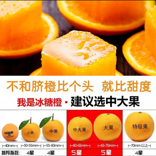 麻阳冰糖橙、汁多味甜，甜似冰糖而闻名全国、个头虽然不大，名气却很大！果肉入口脆嫩清爽，少籽化渣，汁多味浓 商品图7