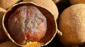 桂圆是个宝，养心又美味的食疗赶紧收藏！ 