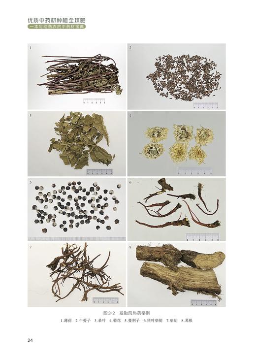 优质中药材种植全攻略 商品图6