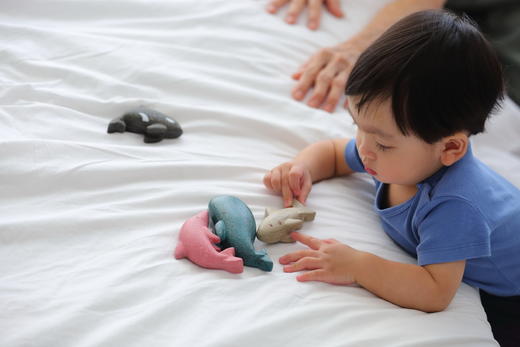 泰国PlanToys益智美学木玩 过家家系列 商品图5