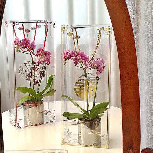 张灯结彩手提盒（3个/包） 商品图2