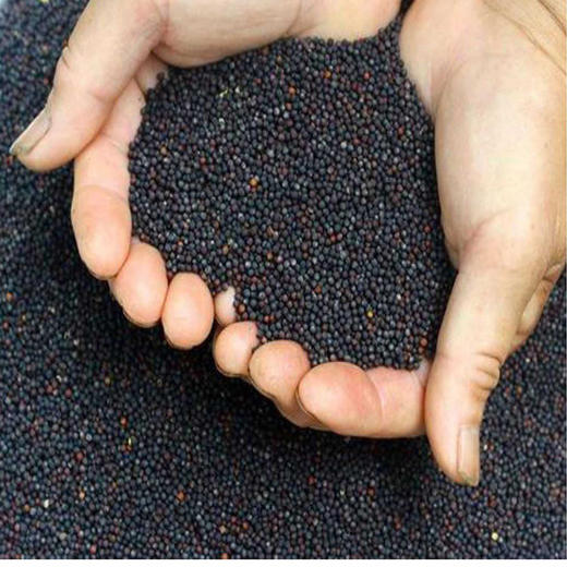 【恩施】西谷压榨菜籽油农家纯菜油食用油 商品图2