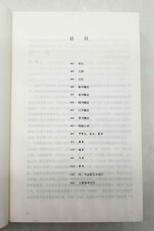 《中国书法名作大典》，16开，平装，1642页，王冬龄著，中国人民大学出版社2015年版，定价198，售价78元。品相95成 商品图4