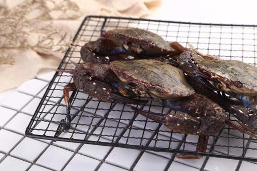 丨生态丨野生海捕活冻海鲜螃蟹类 扁蟹（肉蟹），黑蟹，三眼蟹，花蟹，红鲟膏蟹，帝王蟹，大蟹脚肉 商品图5