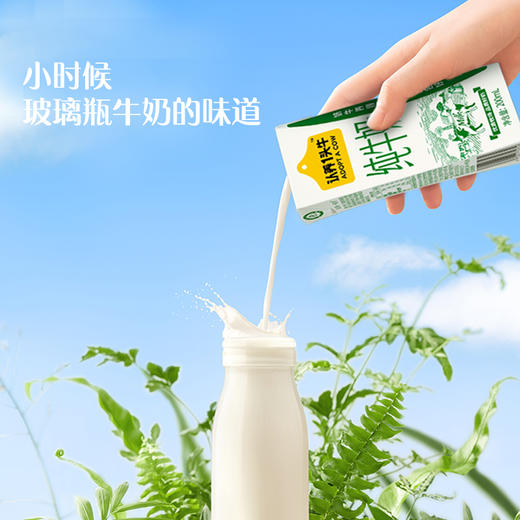 【推荐 | 日期新鲜】认养一头牛纯奶 定制款 200ml*12盒*2箱 商品图2