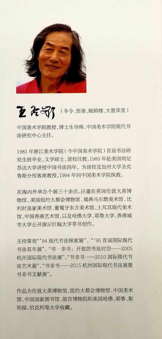 《中国书法名作大典》，16开，平装，1642页，王冬龄著，中国人民大学出版社2015年版，定价198，售价78元。品相95成 商品图3