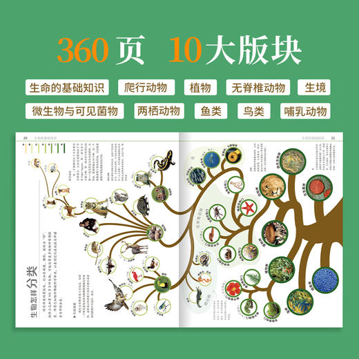 【新东方专享】DK自然运转的秘密（7岁以上） 商品图2