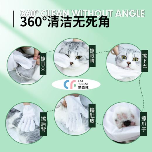 临期猫森林宠物免洗手套（24/9/19） 商品图3