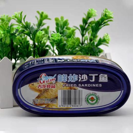 古龙鱼罐头120g 商品图2