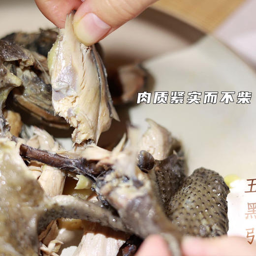 竹荪搭子-【精品五黑鸡 | 山林散养两年以上】砂锅伴侣 鸡汤清澈不浑浊 口感紧实不柴（母鸡 处理后净重1.75~2.1斤/只） 商品图11