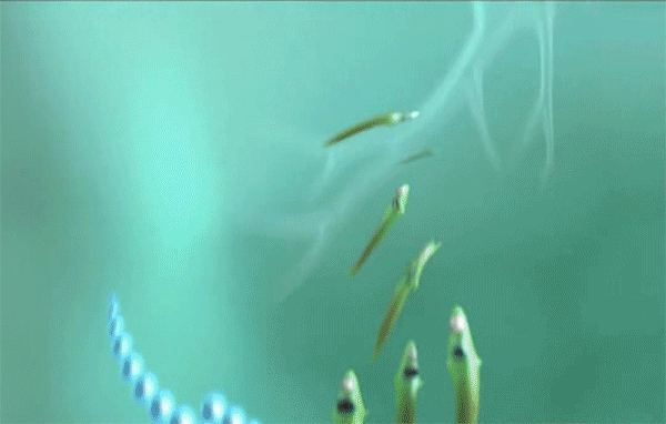 冬季久咳不愈，脖子上一个穴位清肺止咳，睡前按一按就好