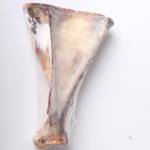 新品【牛骨头】Double favors（双倍喜爱） 耐咬肩胛骨单支装 磨牙洁齿 商品图1