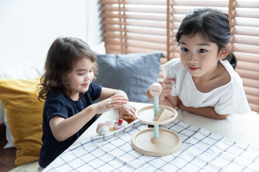 泰国PlanToys益智美学木玩 过家家系列 商品图3