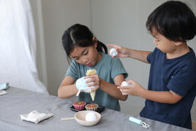 泰国PlanToys益智美学木玩 过家家系列