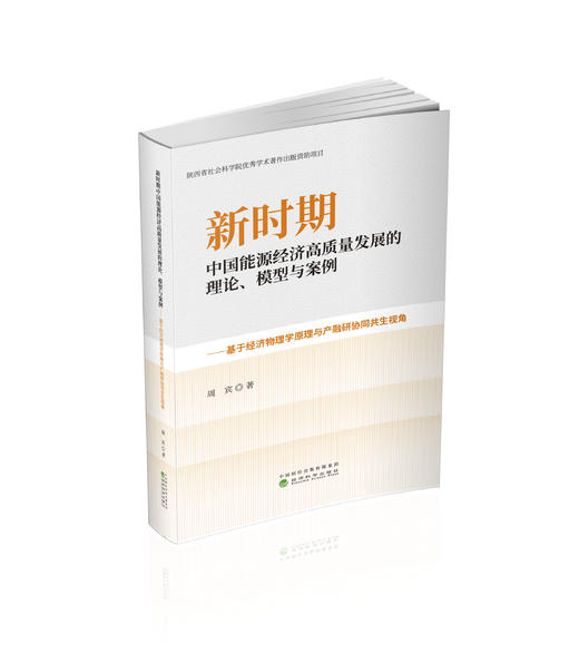 新时期中国能源经济高质量发展的理论、模型与案例 商品图0