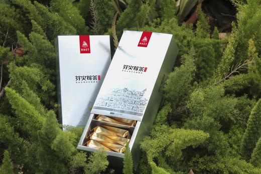 【高端品质】芽尖莓茶 显齿蛇葡萄 藤茶 仅取芽尖3-5mm 富含类黄酮 二氢杨梅素 抗炎舒缓慢性咽喉炎  一盒24包 商品图4