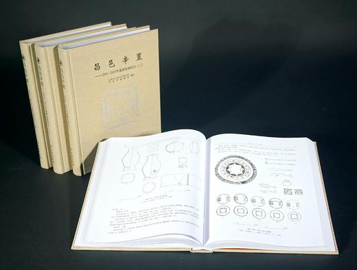 昌邑辛置——2010~2013年墓葬发掘报告（全四册） 商品图2