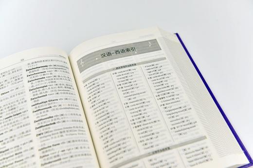 音乐术语多语词典:汉文 英文 德文 意大利文 法文 西班牙文 葡萄牙文 日文 商品图2