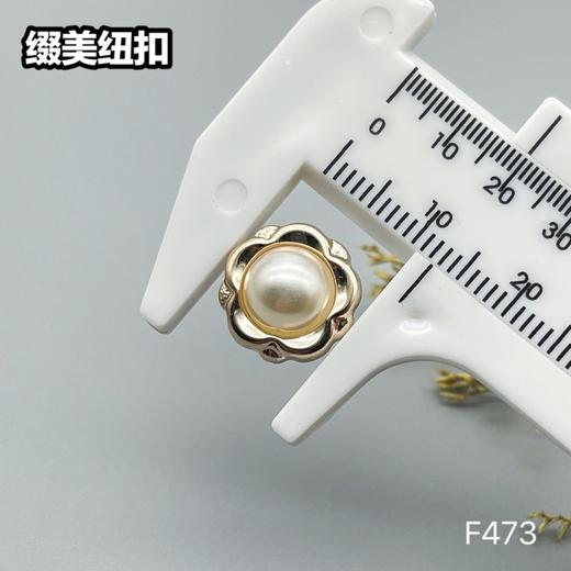 F473(整包购买) 商品图4