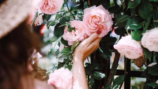 顾客群活动及参与方式 商品图0