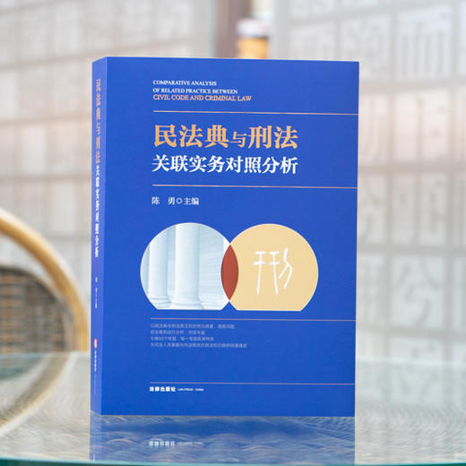 民法典与刑法关联实务对照分析  陈勇主编 商品图1