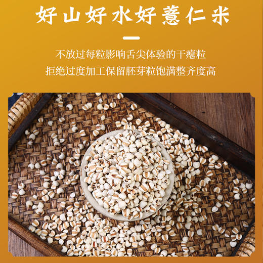 【恩施】黄四姐薏仁米 320g 商品图2
