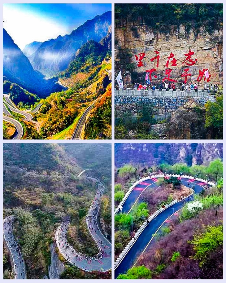 【平谷国际徒步大道1日】网红西柏店菊花宴の赏菊吃菊大朵菊花涮火锅