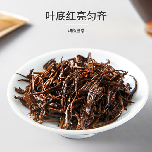 祥源茶祁门红茶传祁1979早春一芽一叶祁红香螺200g 商品图2