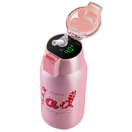 传枫 304不锈钢温显儿童保温杯卡通吸管杯便携幼儿园水壶儿童水杯 CF-601 商品图3