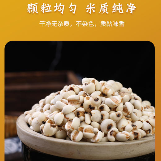 【恩施】黄四姐薏仁米 320g 商品图4