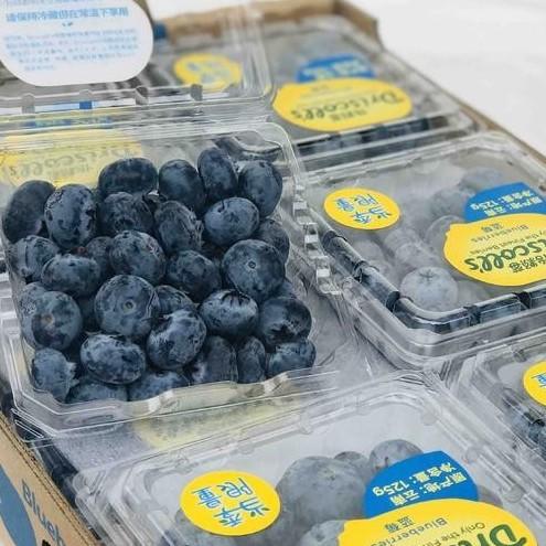 怡颗莓 蓝莓 味道浓郁 商品图0