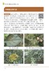 苹果病虫害绿色防控彩色图谱【园艺学会】 商品缩略图2